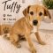 Tuffy Lufkin
