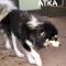 Atka